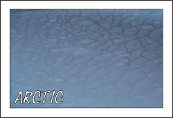 blog_icon_arctic